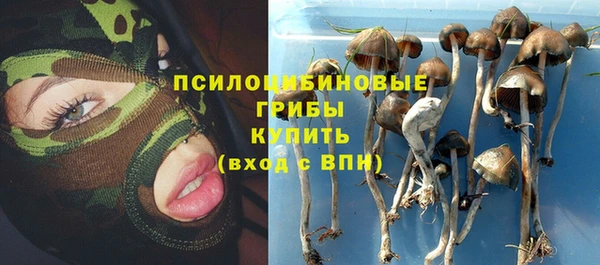 хмурый Заводоуковск