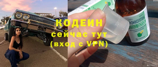 хмурый Заводоуковск