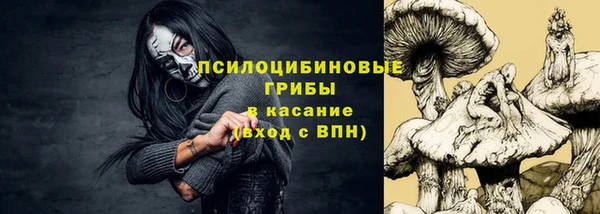хмурый Заводоуковск